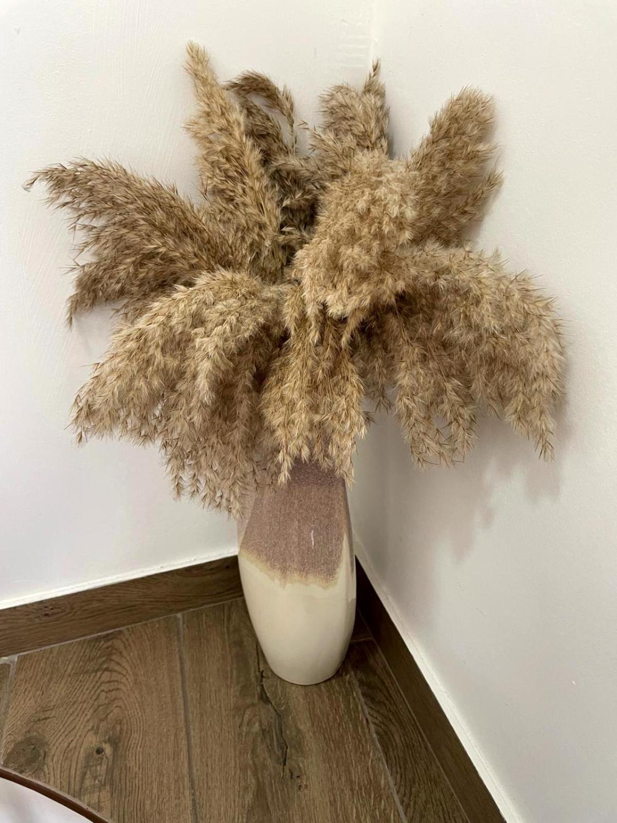 Cantinho D'Aldeia Guarda Kültér fotó